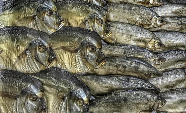 Machines à sous sur le thème des voyages dans le futur sur Betify Casino