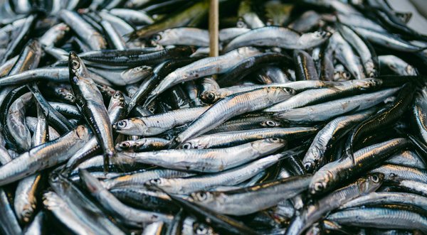 Guide Craps en Ligne et Nouvelles Machines à Sous 2025 pour les joueurs en France