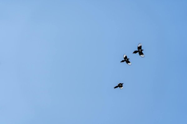 How to Pick the Best Online Casino – A Simple Guide for Smart Players