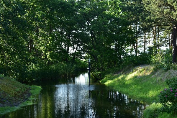 Roulette-Setzsysteme und Krypto-Zahlungen in Deutschland: Praktischer Guide für deutsche Spieler